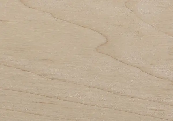 Maple Log Exporters in China