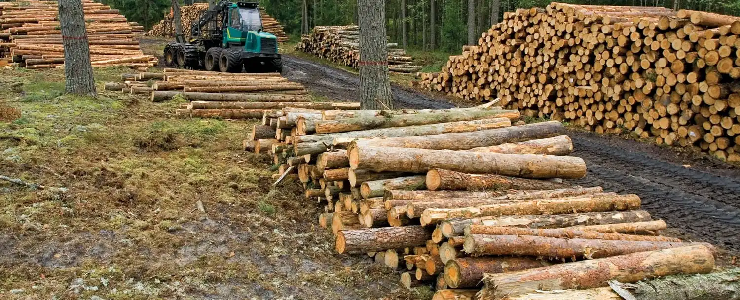 Biomass Export Company in Turkey