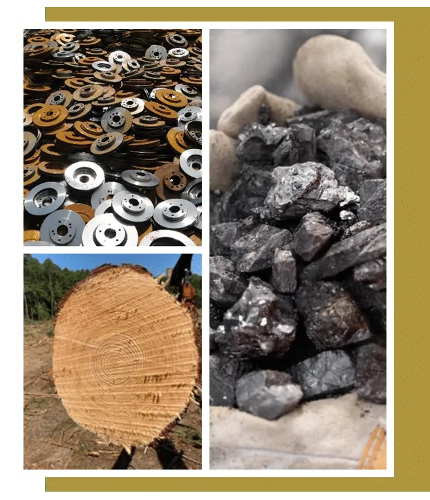 Walnut Exporters in UAE